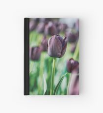 Schwarze Tulpe Notizbuch