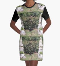 Gracie Graphic T-Shirt Dress