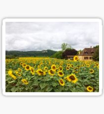 Sunflowers, Dordogne, France Sticker