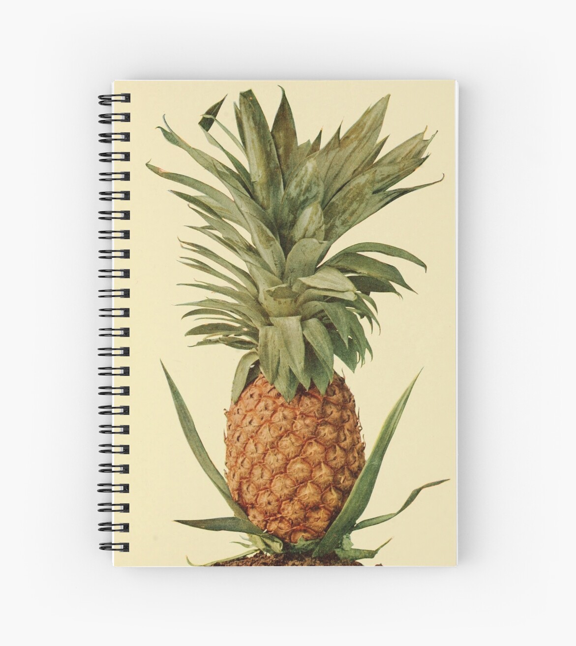 "el pineapple" Spiral Notebook by Testertest | Redbubble