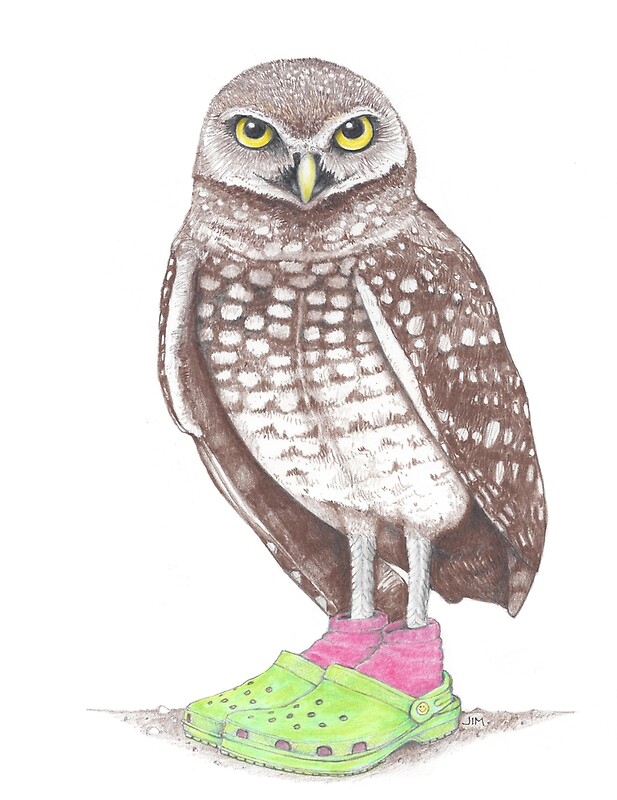 owl jibbitz