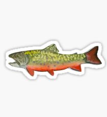 Brook Trout Sticker