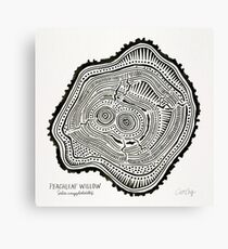Peachleaf Willow – Black Ink Canvas Print