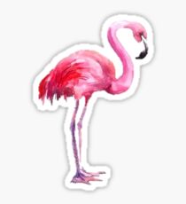 Watercolor Flamingo Sticker