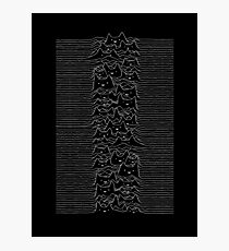 Furr Division Photographic Print