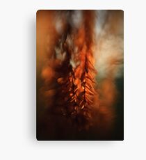 Lensbaby light Canvas Print