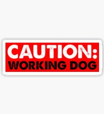 Pegatina PRECAUCIÓN: PERRO DE TRABAJO
