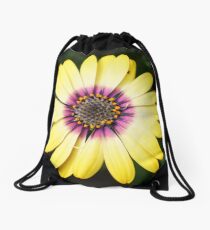 Purple and Gold Drawstring Bag