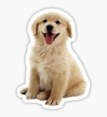Golden Retriever Sticker