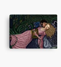 Captain Swan Fairytale Canvas Print