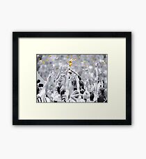 World Champions Framed Print