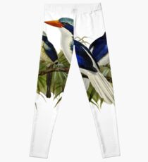 FF - Kingfishers - 1 Leggings