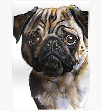 PUG Poster
