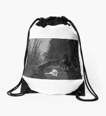 Wolf art picture Drawstring Bag