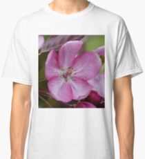 pink apple tree blossoms Classic T-Shirt