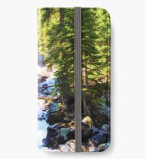 Cascades iPhone Wallet/Case/Skin