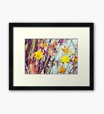 Tassie Seeufer Gerahmtes Wandbild
