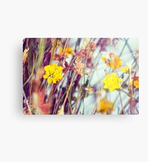 Tassie lakeside Metal Print