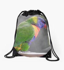 Rainbow Lorikeet Drawstring Bag