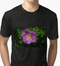 Rosa Rugosa Tri-blend T-Shirt