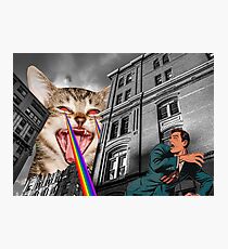 Lámina fotográfica EL GATO SE DUELE