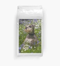Zwergschnauzer in Bluebells Bettbezug