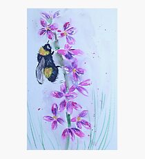 Bumble bee sitting on a flower Photographic Print
