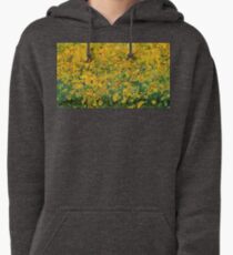 Un insieme Pullover Hoodie