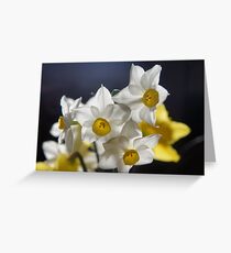 August Sun Greeting Card