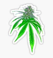 Dope Bud Sticker