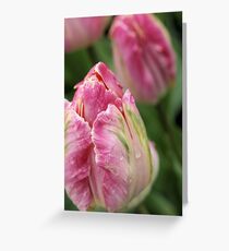 Tulips Greeting Card