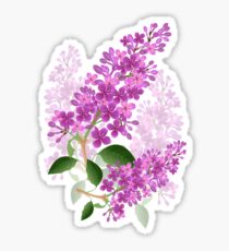 Lila Sticker