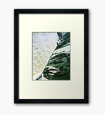Alocasia Araceae Framed Print