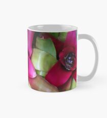 Bromeliad Mug