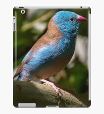 Blue Bird iPad Case/Skin