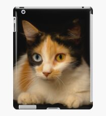 Feline iPad Case/Skin
