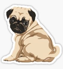 Mops-Welpe Sticker