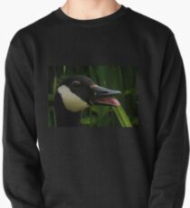 Happy Goose...........Dorset UK Pullover