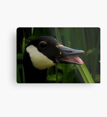 Happy Goose...........Dorset UK Metal Print
