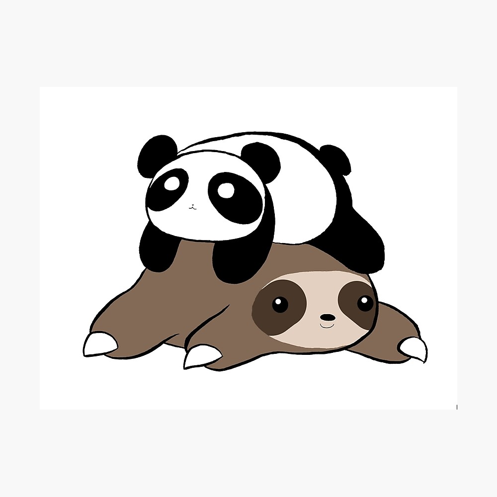 Sloth and Panda Photographic Print