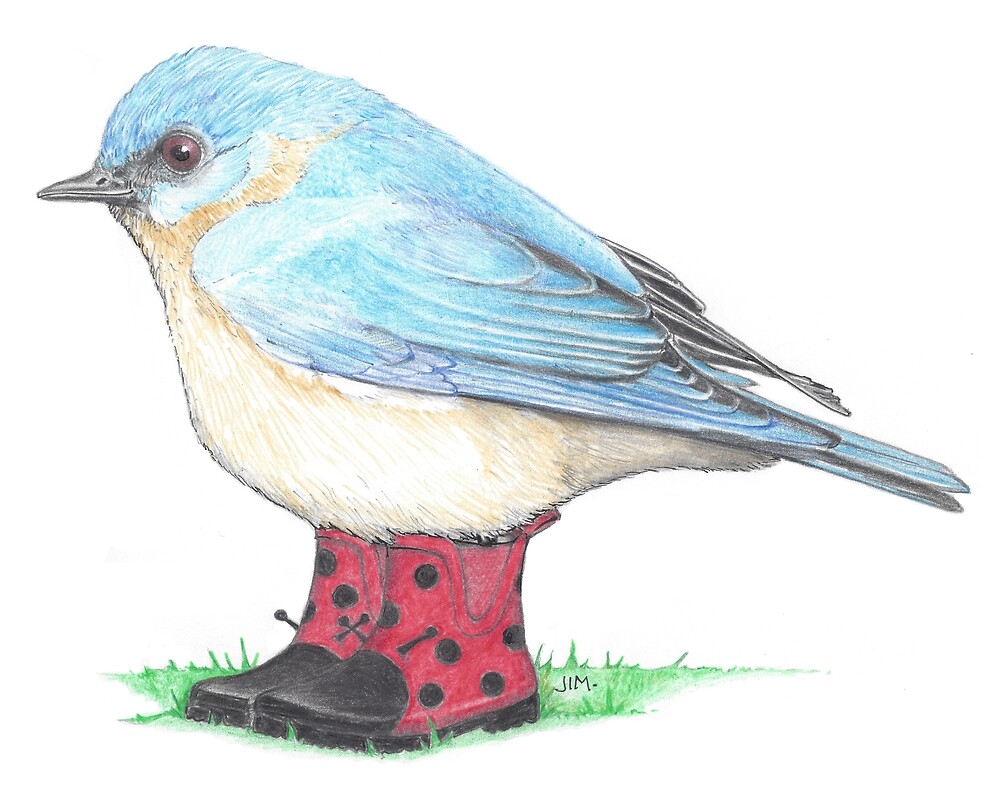 Bluebird in Ladybug Boots by JimsBirds