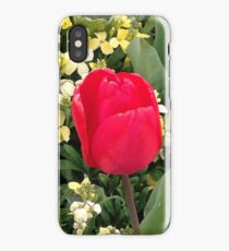 Red Tulip iPhone Case/Skin