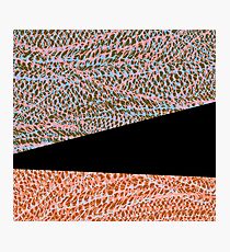 Dos Photographic Print