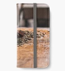 Spice iPhone Wallet/Case/Skin
