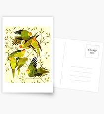 Carolina Parakeet Postcards