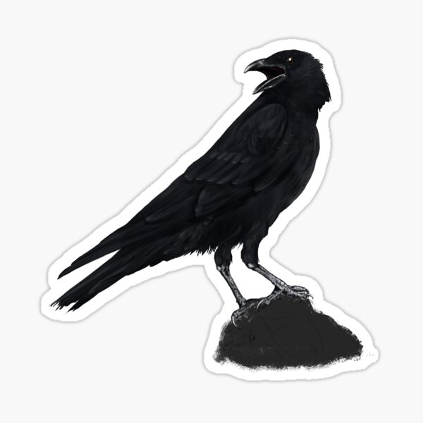 Crow Stickers | Redbubble