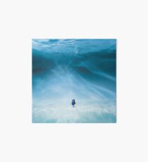 Dory is here Art Board