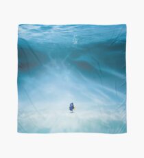 Dory is here Scarf
