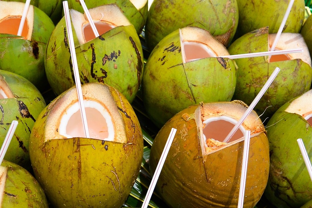 "Coconut Cup" by Dagoth Redbubble