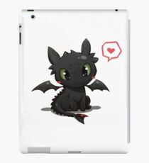 Drachenzähmen leicht gemacht iPad-Hülle & Skin